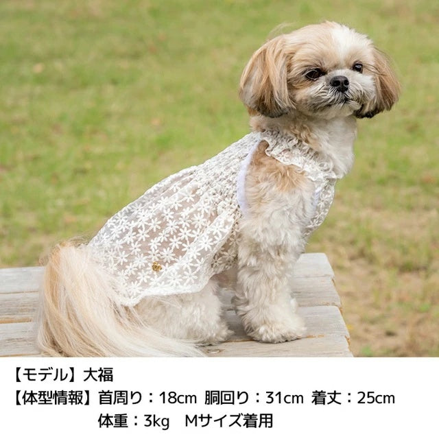アントゥトゥ Un TouTou 花柄レースワンピ【犬服 ドッグウエア ウエア ワンピース スカート ドレス セレブ】