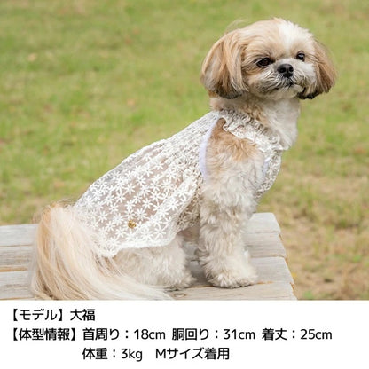 アントゥトゥ Un TouTou 花柄レースワンピ【犬服 ドッグウエア ウエア ワンピース スカート ドレス セレブ】