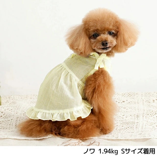 アントゥトゥ Un TouTou レーシーラメワンピ【犬服 ドッグウエア ウエア ワンピース スカート ドレス セレブ】