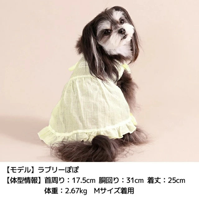 アントゥトゥ Un TouTou レーシーラメワンピ【犬服 ドッグウエア ウエア ワンピース スカート ドレス セレブ】