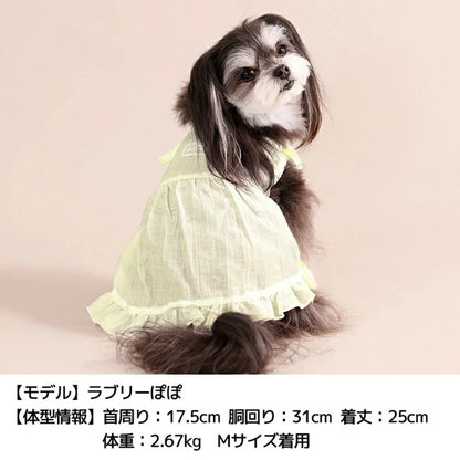 アントゥトゥ Un TouTou レーシーラメワンピ【犬服 ドッグウエア ウエア ワンピース スカート ドレス セレブ】