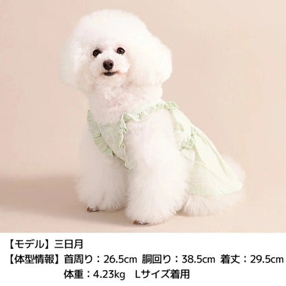 アントゥトゥ Un TouTou ビスチェ風ワンピ【犬服 ドッグウエア ウエア ワンピース スカート ドレス セレブ】