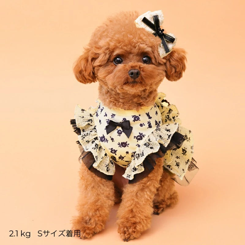 ゴッドピヴァ GODPIVA ★ご予約★ COOLサッカーブロッサムタンク【犬服 ドッグウエア ウエア トップス タンクトップ セレブ】