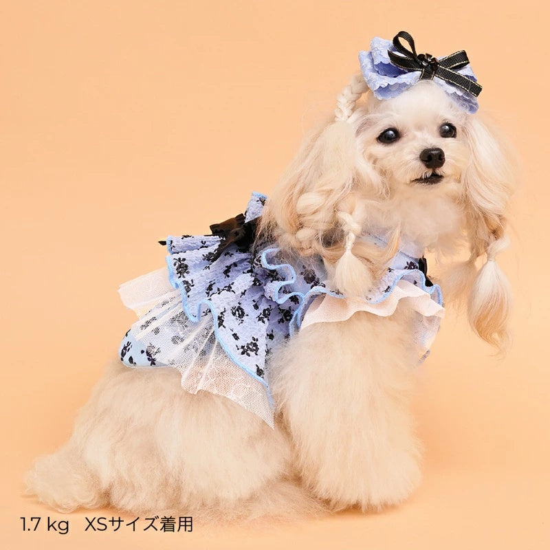 ゴッドピヴァ GODPIVA ★ご予約★ COOLサッカーブロッサムタンク【犬服 ドッグウエア ウエア トップス タンクトップ セレブ】