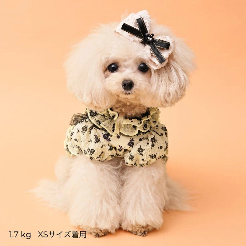 ゴッドピヴァ GODPIVA ★ご予約★ COOLサッカーブロッサムワンピース【犬服 ドッグウエア ウエア ワンピース ドレス スカート セレブ】