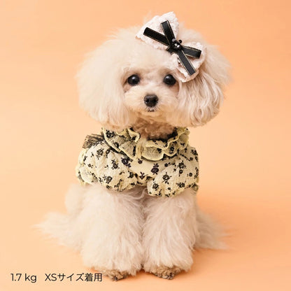 ゴッドピヴァ GODPIVA ★ご予約★ COOLサッカーブロッサムワンピース【犬服 ドッグウエア ウエア ワンピース ドレス スカート セレブ】