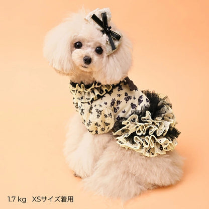 ゴッドピヴァ GODPIVA ★ご予約★ COOLサッカーブロッサムワンピース【犬服 ドッグウエア ウエア ワンピース ドレス スカート セレブ】