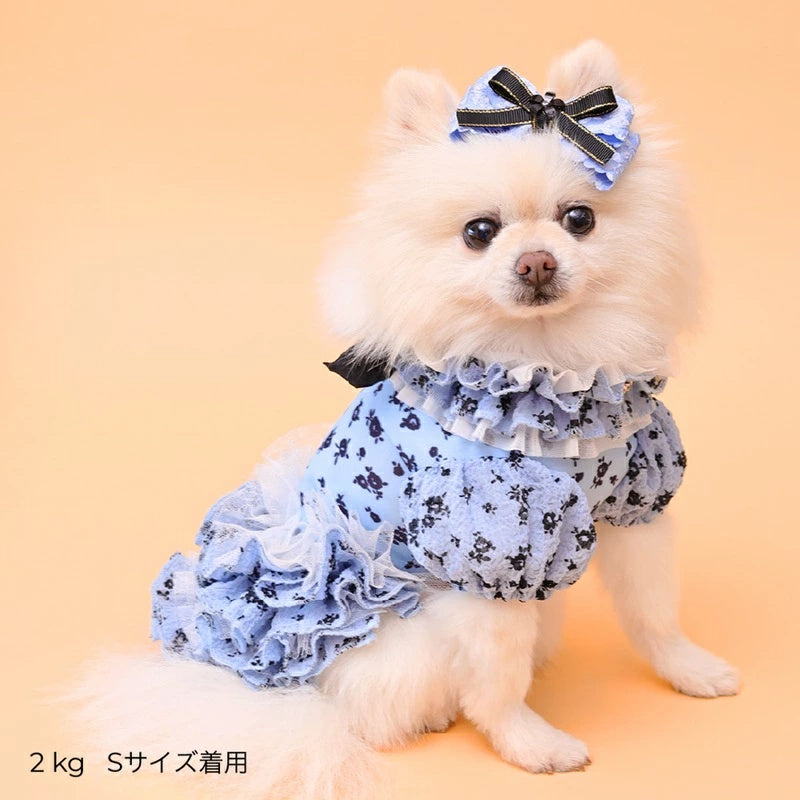 ゴッドピヴァ GODPIVA ★ご予約★ COOLサッカーブロッサムワンピース【犬服 ドッグウエア ウエア ワンピース ドレス スカート セレブ】