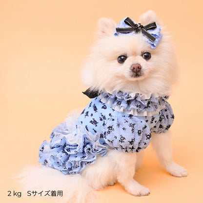 ゴッドピヴァ GODPIVA ★ご予約★ COOLサッカーブロッサムワンピース【犬服 ドッグウエア ウエア ワンピース ドレス スカート セレブ】