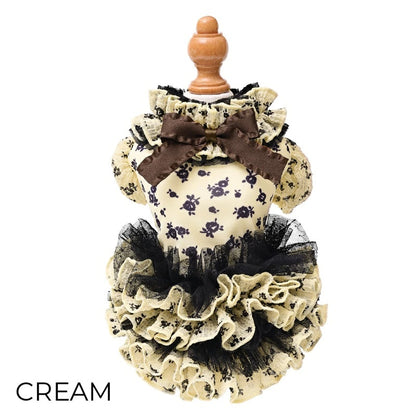 ゴッドピヴァ GODPIVA ★ご予約★ COOLサッカーブロッサムワンピース【犬服 ドッグウエア ウエア ワンピース ドレス スカート セレブ】