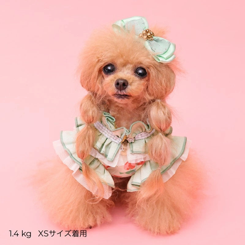 ゴッドピヴァ GODPIVA COOLプティチェリータンク【犬服 ドッグウエア ウエア トップス タンクトップ ノースリーブ セレブ】