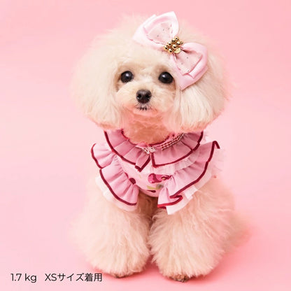 ゴッドピヴァ GODPIVA COOLプティチェリータンク【犬服 ドッグウエア ウエア トップス タンクトップ ノースリーブ セレブ】