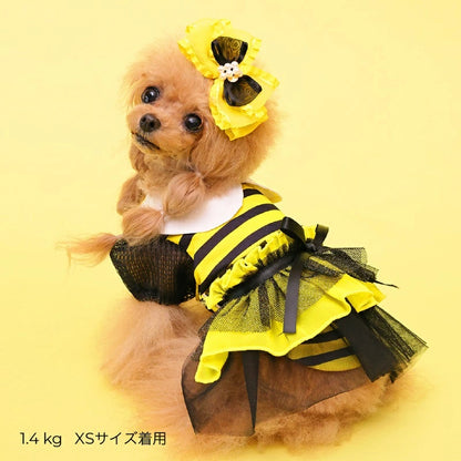 ゴッドピヴァ GODPIVA  COOL FUNNY BEEタンク【犬服 ドッグウエア ウエア ワンピース ドレス スカート セレブ】