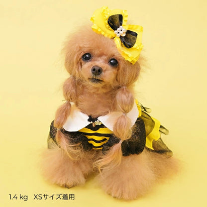 ゴッドピヴァ GODPIVA  COOL FUNNY BEEタンク【犬服 ドッグウエア ウエア ワンピース ドレス スカート セレブ】