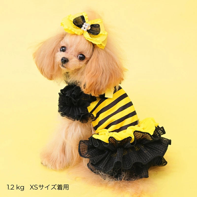 ゴッドピヴァ GODPIVA ★ご予約★ COOL FUNNY BEEワンピース【犬服 ドッグウエア ウエア ワンピース ドレス スカート セレブ】