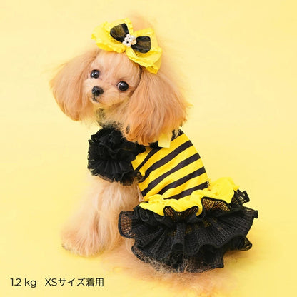ゴッドピヴァ GODPIVA ★ご予約★ COOL FUNNY BEEワンピース【犬服 ドッグウエア ウエア ワンピース ドレス スカート セレブ】