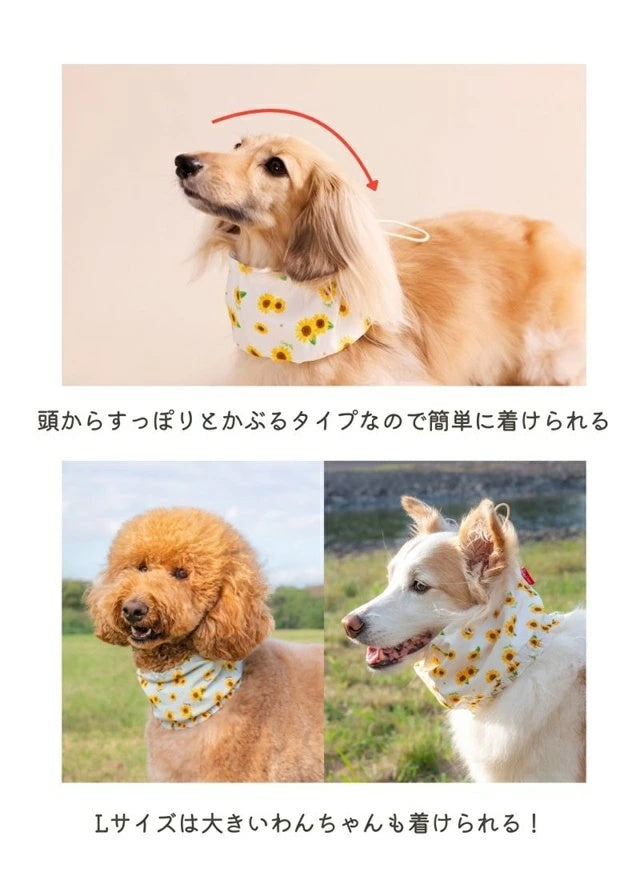 クレイジーブー CRAZYBOO ひまわり柄クールネック【犬服 犬用 ドッグウエア ウエア COOL ネック 保冷剤 セレブ】