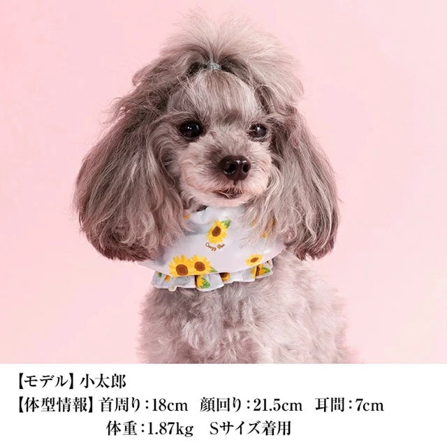 クレイジーブー CRAZYBOO ひまわり柄クールネック【犬服 犬用 ドッグウエア ウエア COOL ネック 保冷剤 セレブ】