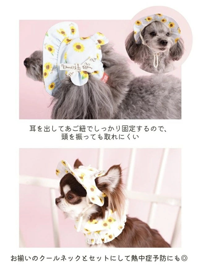 クレイジーブー CRAZYBOO ひまわり柄くま耳帽子【犬服 犬用 ドッグウエア ウエア 帽子 日よけ お散歩 セレブ】