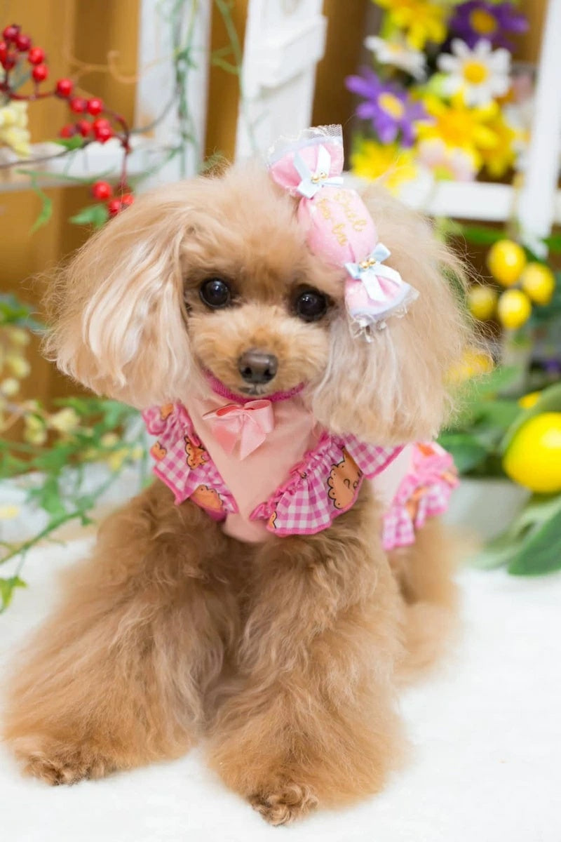 ブルブブ BUL BU-BU Dots Candy バレッタ【小型犬 犬用 ヘアアクセサリー ヘアアクセ バレッタ セレブ】