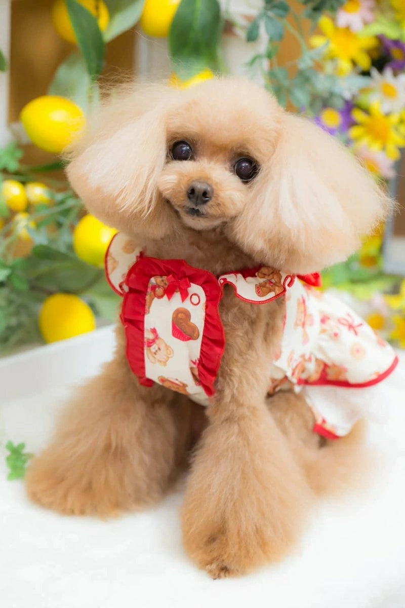 ブルブブ BUL BU-BU Sweet Bear O/P【小型犬 犬服 ドッグウエア ウエア ワンピース ドレス スカート セレブ】