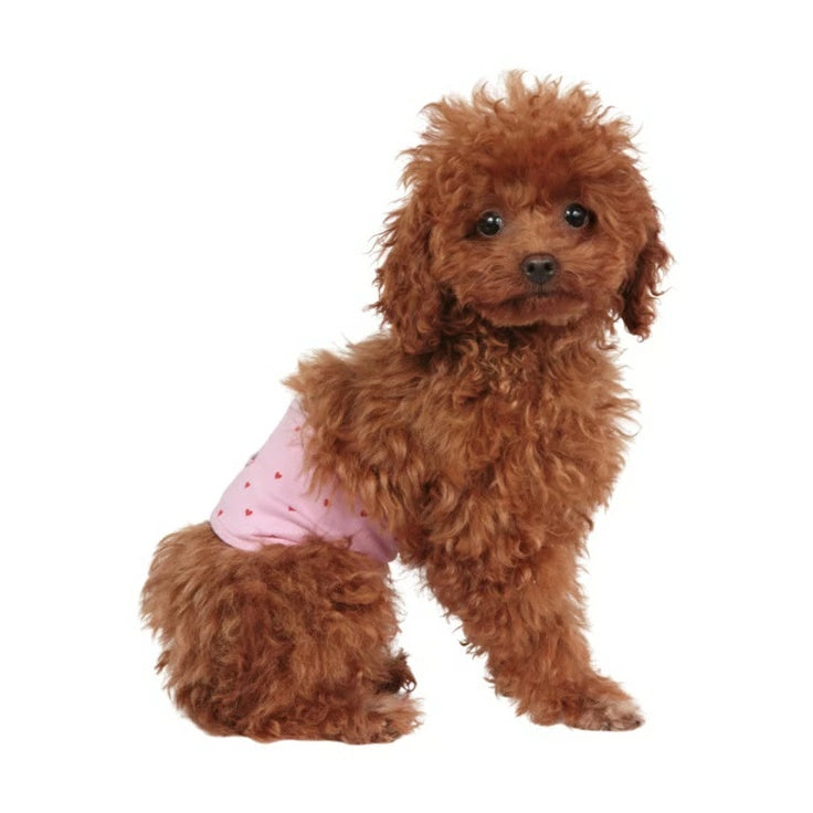 シャーロットドレス Charlotte's Dress Art. 8011 band bon-ton Kiko【犬服 犬用 ドッグウエア ウエア マナーバンド お出掛け セレブ】