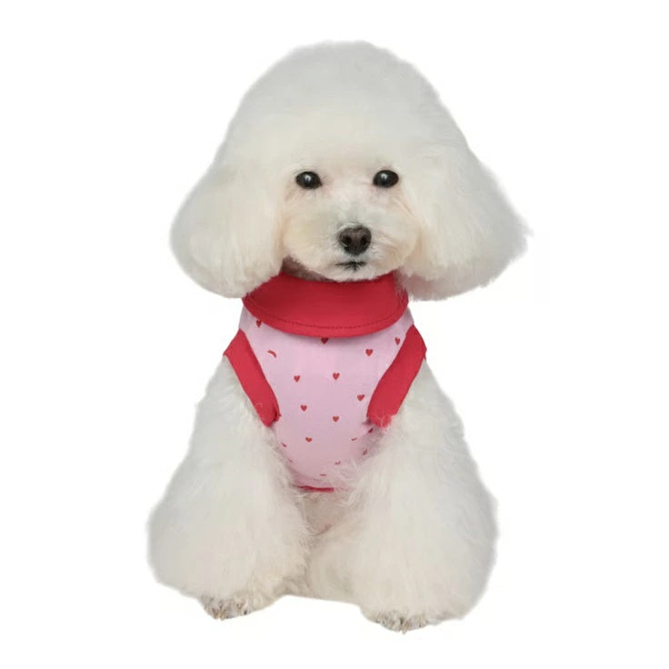 シャーロットドレス Charlotte's Dress Art. 5160 t-shirt Kiko【犬服 ドッグウエア ウエア トップス ポロシャツ ポロ 半袖 セレブ】
