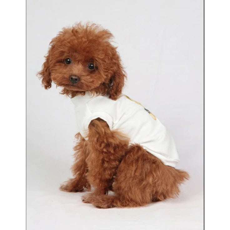 シャーロットドレス Charlotte's Dress Art. 5156 t-shirt Abbraccio【犬服 ドッグウエア ウエア トップス Tシャツ 半袖 セレブ】
