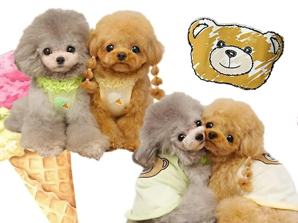 サーカスサーカス circus circus ★先行予約4月上旬入荷★gelato bear(CCW-0293)【小型犬 ドッグウエア ウエア トップス タンクトップ ノースリーブ】