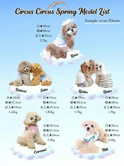 サーカスサーカス circus circus ★先行予約4月上旬入荷★gelato bear(CCW-0293)【小型犬 ドッグウエア ウエア トップス タンクトップ ノースリーブ】