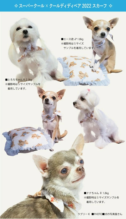 クークチュール Coo Couture スーパークール×クール・ディディベア2022スカーフ［7266］【犬介護 夏物ドッグスカーフ 熱中症対策 ロングセラー人気商品 介護服】