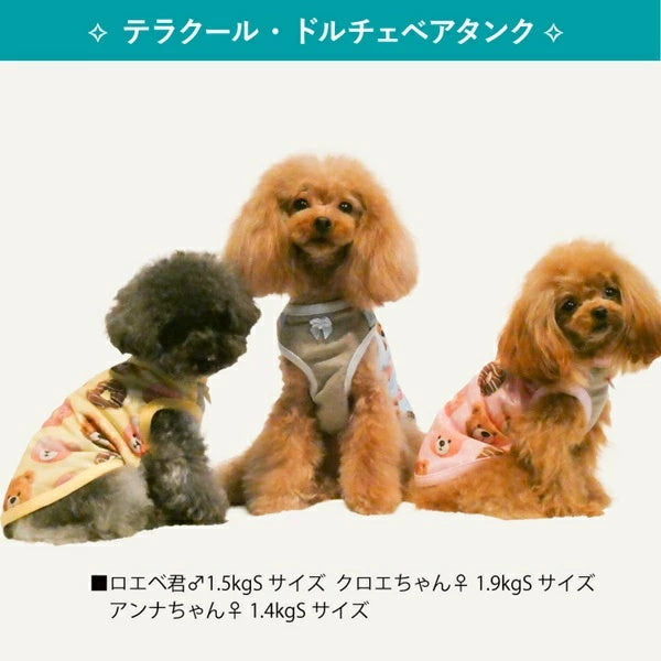 クークチュール Coo Couture★4月中旬から5月上旬入荷予定★テラクール・ドルチェベアタンク［12503］【ドッグウエア ウエア 犬介護 熱中症対策 介護服】