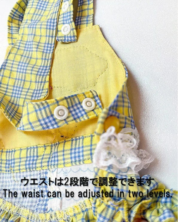 J&Kアニマルズ J&K animals ☆予約受付中☆ パイレーツ スカート【犬服 ドッグウエア ウエア ワンピース スカート ドレス】