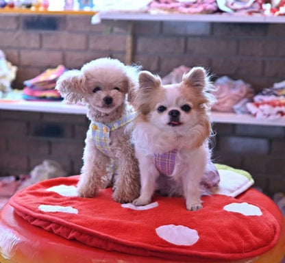 J&Kアニマルズ J&K animals ☆予約受付中☆ パイレーツ サロペット【犬服 ドッグウエア ウエア つなぎ ロンパース サロペット パンツ ドレス】