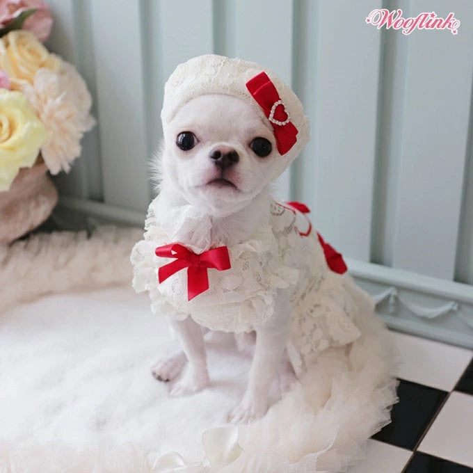 ウーフリンク WOOFLINK LOVELY BABE BERET【犬服 犬用 帽子 ベレー帽 セレブ】