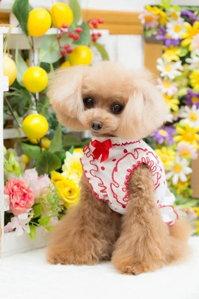 ブルブブ BUL BU-BU COOL Dots Cherry Camisole【小型犬 犬服 ドッグウエア ウエア トップス キャミソール セレブ】
