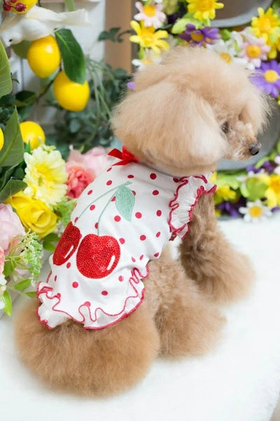 ブルブブ BUL BU-BU COOL Dots Cherry Camisole【小型犬 犬服 ドッグウエア ウエア トップス キャミソール セレブ】