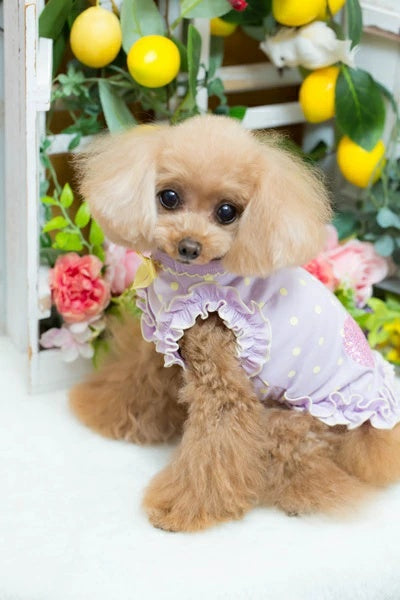 ブルブブ BUL BU-BU COOL Dots Cherry Camisole【小型犬 犬服 ドッグウエア ウエア トップス キャミソール セレブ】