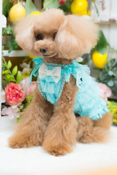 ブルブブ BUL BU-BU COOL ティアード肩紐キャミ【小型犬 犬服 ドッグウエア ウエア トップス キャミソール セレブ】