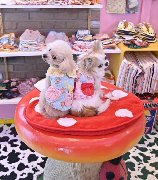 J&Kアニマルズ J&K animals ☆予約受付中☆ くまキャンディーTシャツ