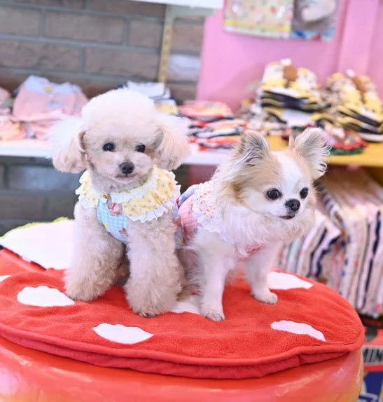 J&Kアニマルズ J&K animals ☆予約受付中☆ くまキャンディーTシャツ