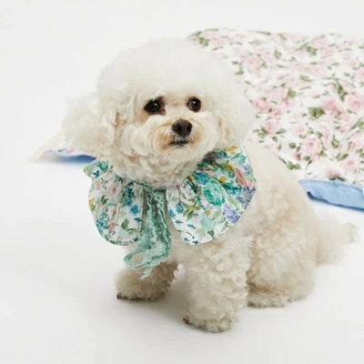 ルイスドッグ louisdog Liberty Cape【小型犬用 犬服 ドッグウエア ウエア ケープ セレブ】