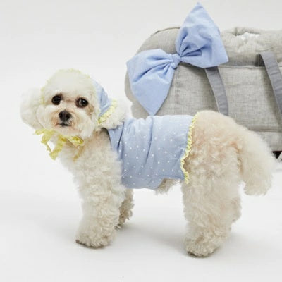ルイスドッグ louisdog Lemon Sky TEE & Scarf【小型犬用 犬服 ドッグウエア ウエア トップス Tシャツ ケープ セレブ】