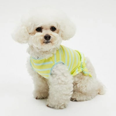 ルイスドッグ louisdog Lemonade Tie TEE【小型犬用 犬服 ドッグウエア