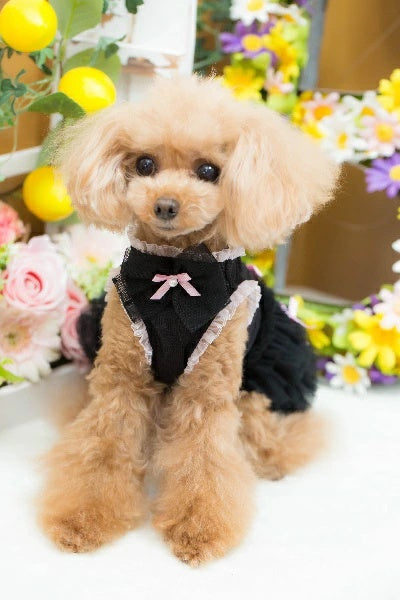 ブルブブ BUL BU-BU COOL DOLL O/P【小型犬 犬服 ドッグウエア ウエア ワンピース スカート ドレス セレブ】
