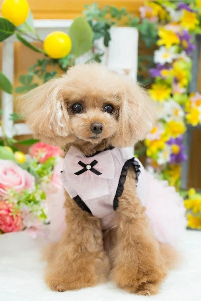 ブルブブ BUL BU-BU COOL DOLL O/P【小型犬 犬服 ドッグウエア ウエア ワンピース スカート ドレス セレブ】