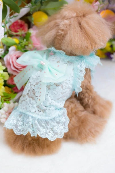 ブルブブ BUL BU-BU BIGリボンキャミ【小型犬 犬服 ドッグウエア ウエア トップス キャミソール ノースリーブ セレブ】