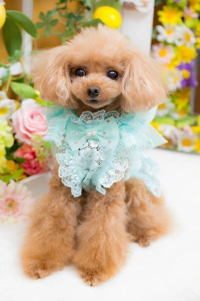 ブルブブ BUL BU-BU BIGリボンキャミ【小型犬 犬服 ドッグウエア ウエア トップス キャミソール ノースリーブ セレブ】
