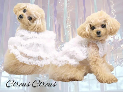 サーカスサーカス circus circus fuwa fuwa tulle OP(CCW-0298)【小型犬 ドッグウエア ウエア ワンピース スカート ドレス】