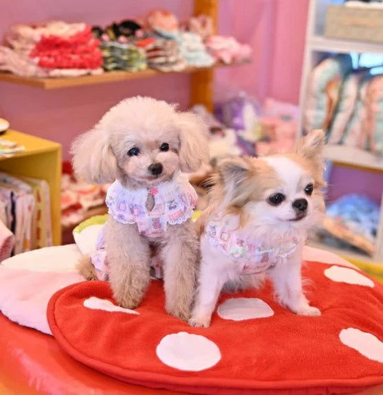 J&Kアニマルズ J&K animals ☆予約受付中☆ パステルくまちゃん つなぎ【犬服 ドッグウエア ウエア つなぎ ロンパース パンツ】